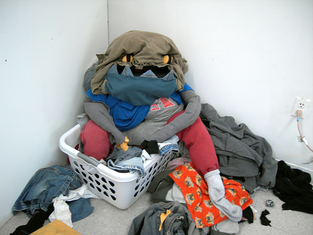 Photo of laundry monster.