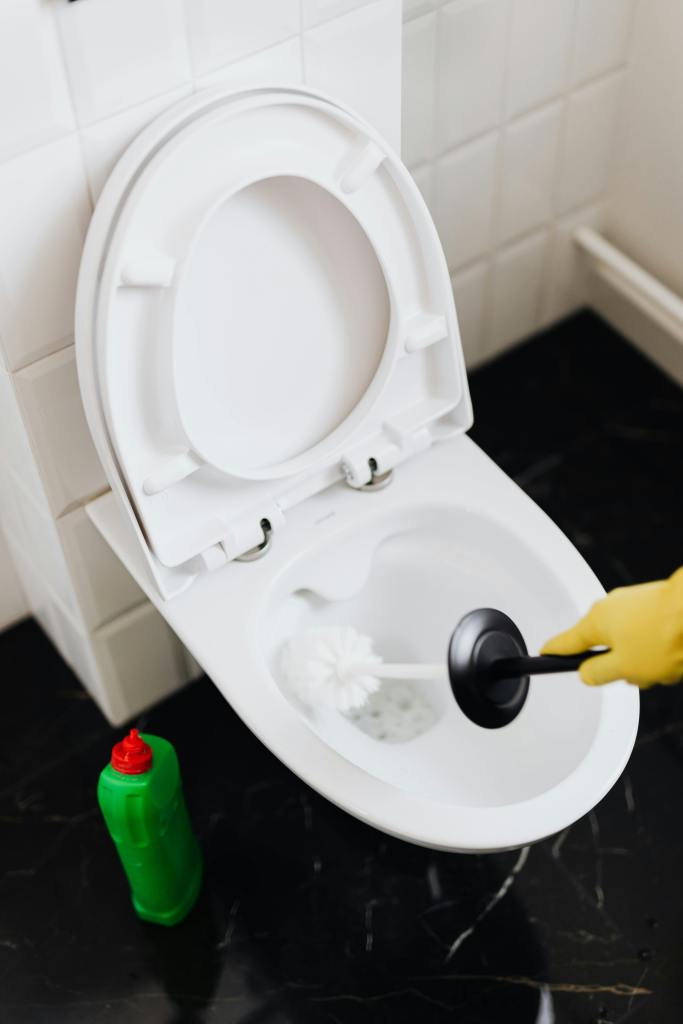 Photo of person cleaning toilet.